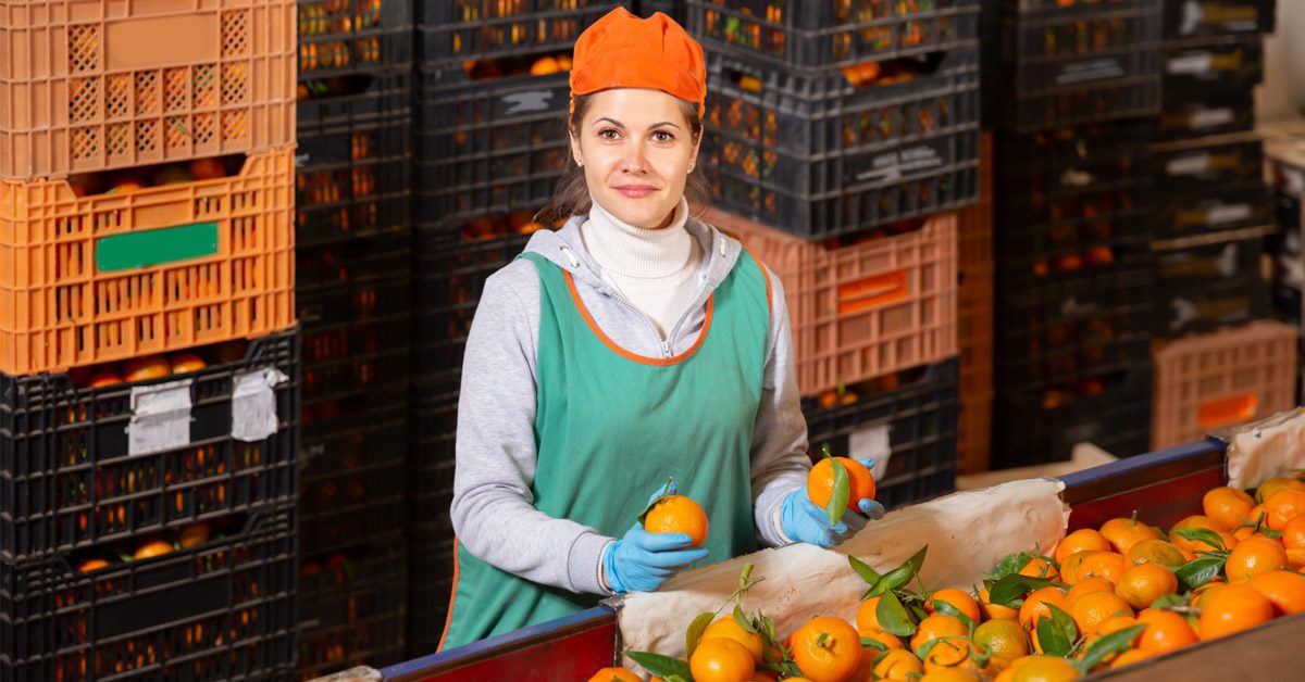 Femme travaillant sur la ligne de tri des fruits dans l’industrie agroalimentaire