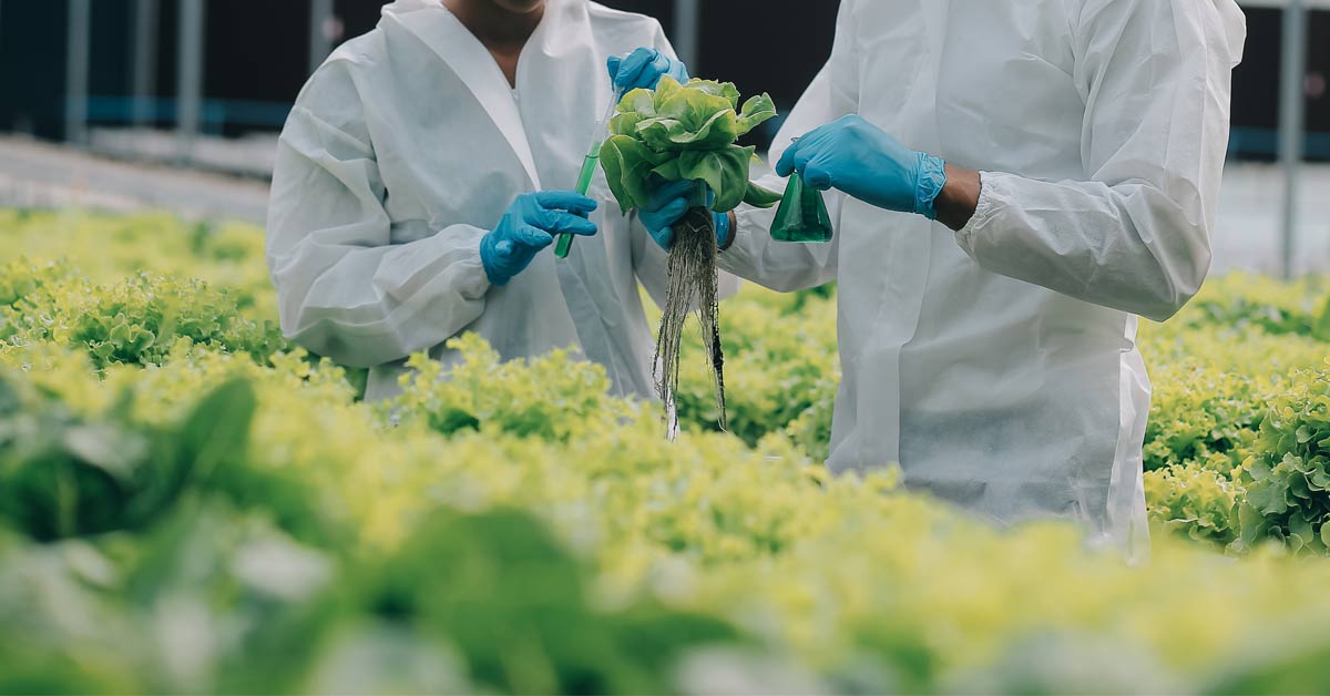Travailleurs de l’industrie agroalimentaire évaluant la qualité des aliments biologiques