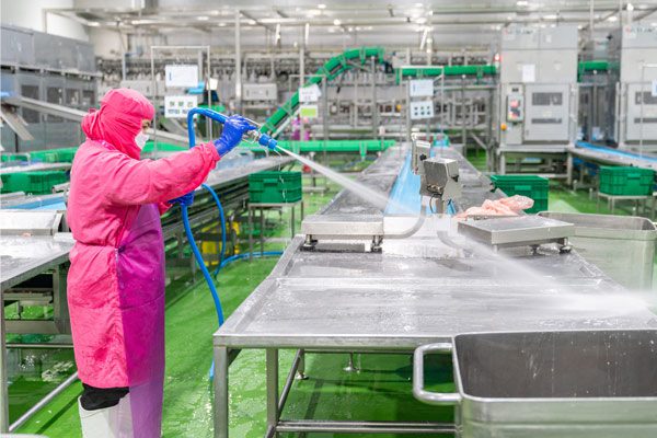 Travailleuse de l’industrie agroalimentaire nettoyant la zone de production 