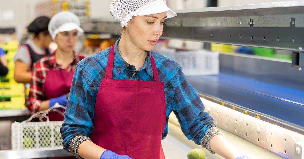 Eine Frau trägt Arbeitskleidung in der Lebensmittelindustrie